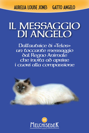 Il messaggio di Angelo