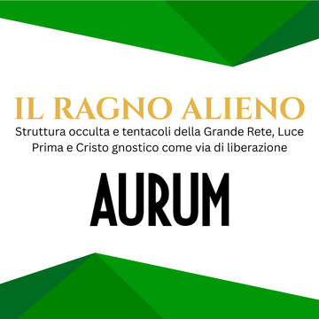 SEMINARIO - Il ragno alieno